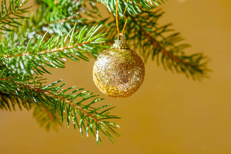 Shiny christmas golden ball on a green spruce branch on a yellow backgroundの写真素材