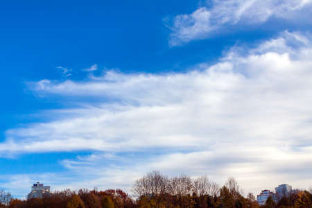 White clouds against a blue sky, the edge of the forest can be seen in the distanceの写真素材