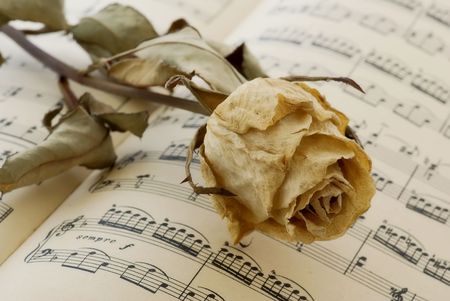 Music book with a dried roseの写真素材