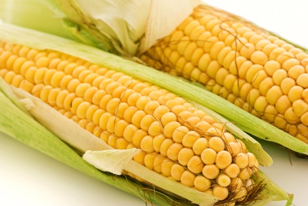 corncobの写真素材