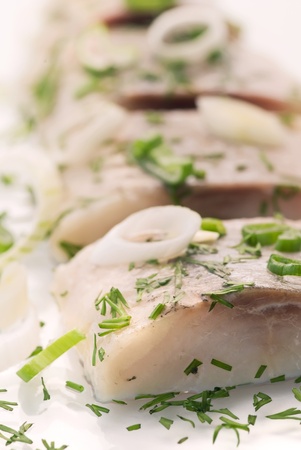 Young Herringの写真素材