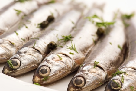 Anchovy marinatedの写真素材