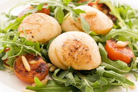 Rocket Salad with Scallopsの写真素材