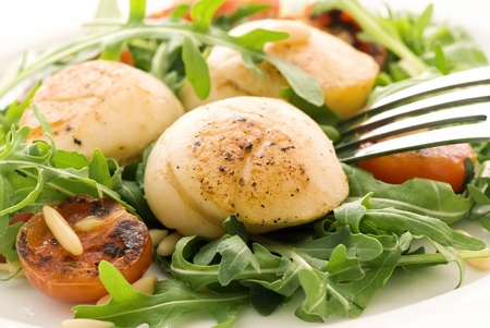 Rocket Salad with Scallopsの写真素材