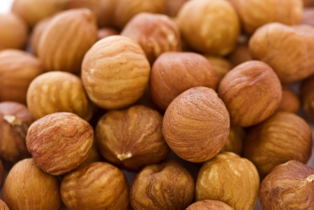 Hazelnutの写真素材