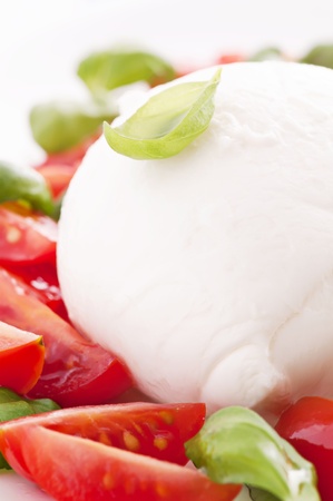 Tomato Mozzarellaの写真素材