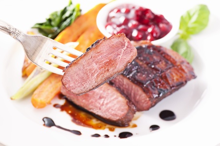 Duck breast filletの写真素材