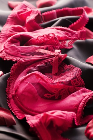 lingerieの写真素材