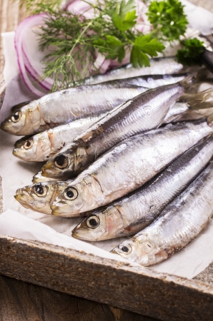 pickled pilchardの写真素材