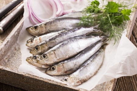 pickled pilchardの写真素材