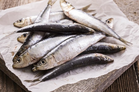 sardinaの写真素材