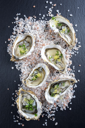 Fresh Oystersの写真素材