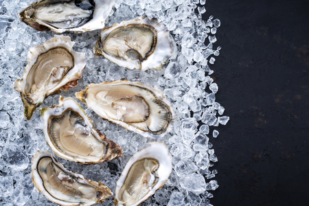 Fresh opened oyster offered as top view on crushed ice with copy space rightの写真素材