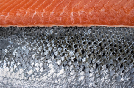 Fresh raw salmon fillet with silver fish skin as backgroundの写真素材