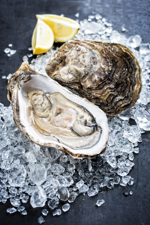Fresh rock oyster offered as closeup opened with sliced lemon on crushed ice with copy spaceの写真素材