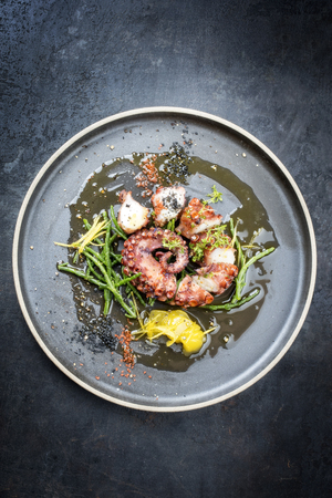 Traditional French octopus braised cooked with Salicornia, lemon curd and spice as top view on a modern design plate with copy spaceの写真素材