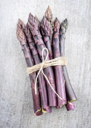 Row lilac asparagus as close-up on gray background with copy spaceの写真素材
