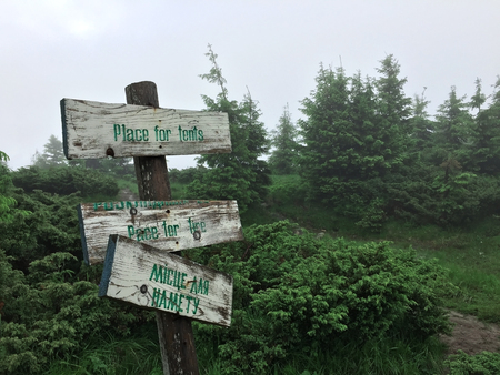 Wooden signpost in the mountains with the inscription - a place for a tent. Against the backdrop of trees in the fog.の写真素材