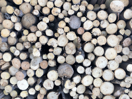 Firewood for heating, fires, fireplaces. Background from sawed tree trunks.の写真素材
