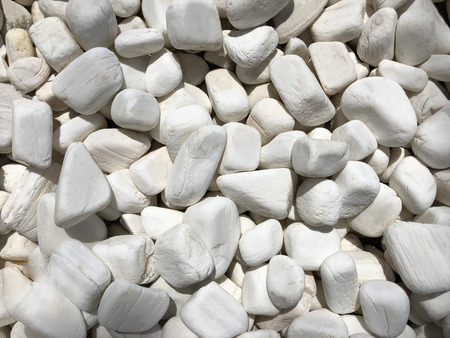 Sea stones for background.の写真素材