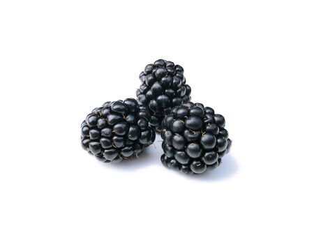 Three blackberries are isolated on a white background with a sunny shadow. Summer seasonal berries.の写真素材