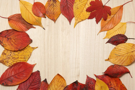 Fallen leaves on wooden table. Thanksgiving day concept. Autumn concept.