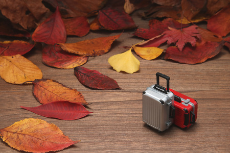 Fallen leaves and lugggs on wood plank. Autumn trip concept.の写真素材