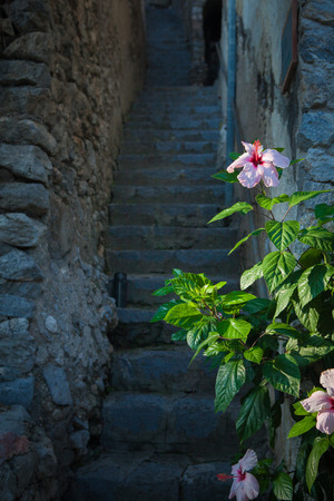 landscape and specific photos of Italy and the environs of Naples, small southern cities of Italyの写真素材