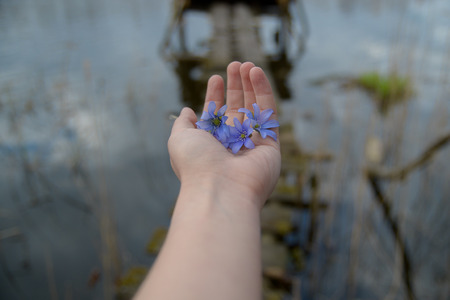hand with flowersの写真素材