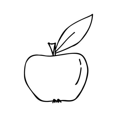 vector apple with leaf in doodle styleのイラスト素材