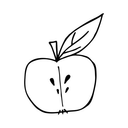 vector half apple in doodle styleのイラスト素材