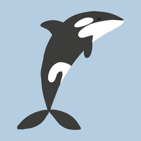 Childrens illustration of cute killer whale. Hand-drawn killer whale. Cute whale.