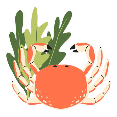 Childrens illustration of crab with seaweed. Hand-drawn orange crab.のイラスト素材