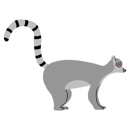 Childish illustration of lemur isolated on white background. Hand-drawn standing lemur in cartoon style.のイラスト素材