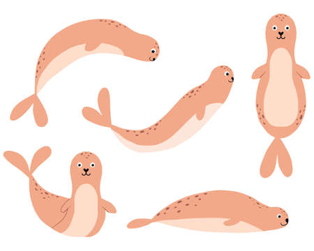 Childrens set of cute seals in cartoon style. A hand-drawn set of seals in different poses.のイラスト素材