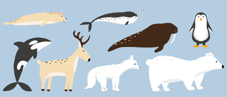 Vector illustration of cute arctic animals. Vector set of arctic animals. Polar bear, reindeer, walrus, arctic fox, seal.のイラスト素材