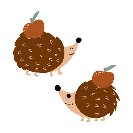 Vector illustration of two hedgehogs with an apple on the back. Cute poster with two hedgehogs and apples. Decoration for the nursery.のイラスト素材