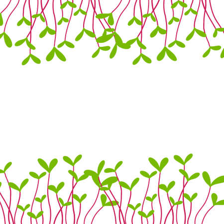 Frame with microgreens. Horizontal frame with microgreens. vector illustration in hand drawn style.のイラスト素材