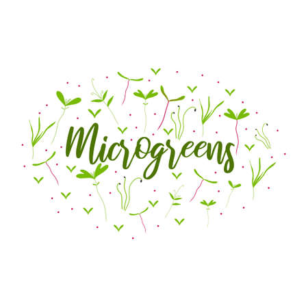 Logo with microgreens. Lettering with microgreens. Lettering with sprouts. Vector illustration in hand drawn style. Frame in the form of an oval with microgreens.のイラスト素材