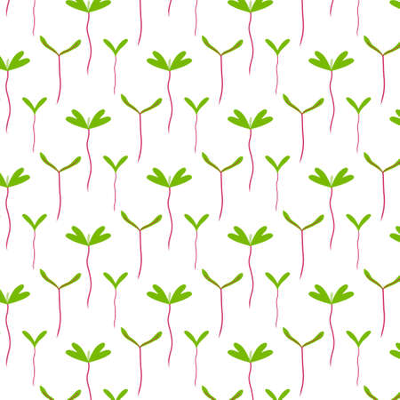 Vector seamless pattern with greenery. Pattern with beet sprouts.のイラスト素材
