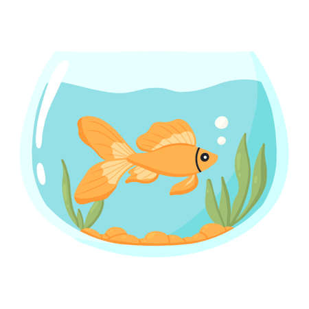 Goldfish in an aquarium. Vector illustration . Domestic fish in a round aquarium. Aquarium with algae.のイラスト素材