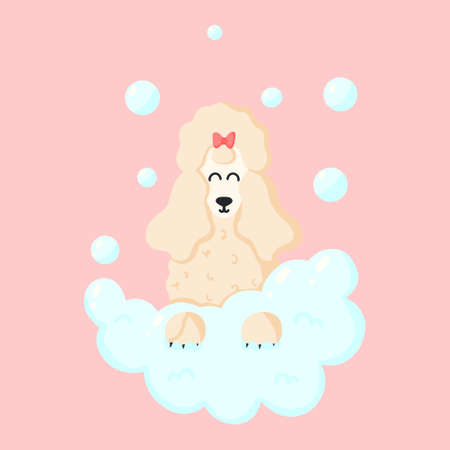 Cute dog in the foam. Poodle with bubbles. Pet care. Vector illustration in cartoon style.のイラスト素材