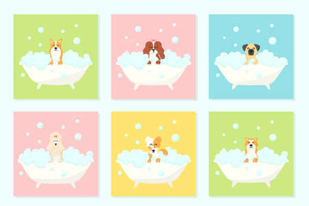 Grooming salon. Set of banner for beauty salon. Vector illustration in cartoon style. Cute dogs in a bubble bath. Animal care.のイラスト素材