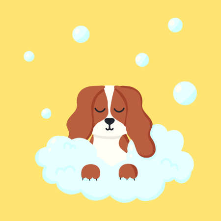 Dog in a bubble bath. Pet care. Bathing the dog in the bathroom. Vector illustration in cartoon style.のイラスト素材