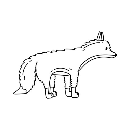 Childrens illustration of polar fox isolated on white background. Hand-drawn arctic fox in doodle style. Vector illustrationのイラスト素材