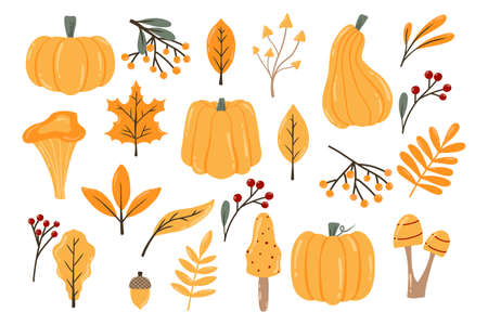 Autumn set. Autumn pumpkins, leaves, berries and mushrooms. Drawn style. Collection of autumn plants. Vector illustration.のイラスト素材