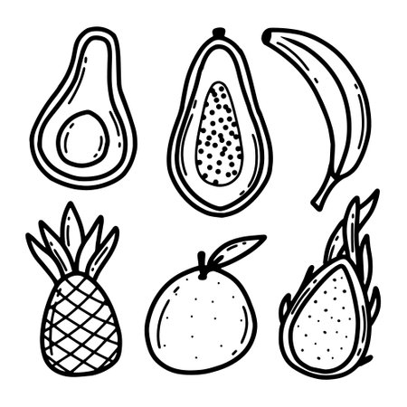 Tropical fruits set. Doodle style. Fruit collection banana, avocado, pineapple, papaya, dragon fruit. Vector illustration. Drawn fruits.のイラスト素材