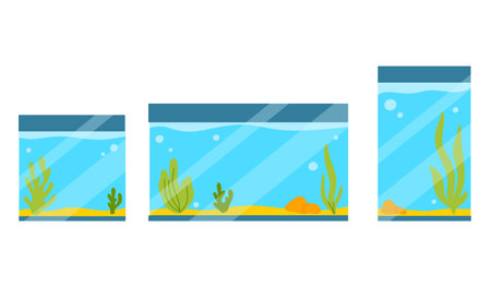 Set of Rectangular Aquariums. Collection of Aquariums with algae in flat style. Vector illustration. Empty isolated aquarium in cartoon style.のイラスト素材