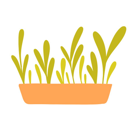 Hand drawn microgreens in pots. Vector illustration in flat style isolated on white background. Micro green. Beets, lettuce, cabbage, sorrel, onion, radish, arugula, peas. Growing superfood at home.のイラスト素材