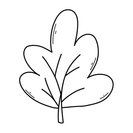 Tree in doodle style. Vector illustration. Linear tree, bush.のイラスト素材